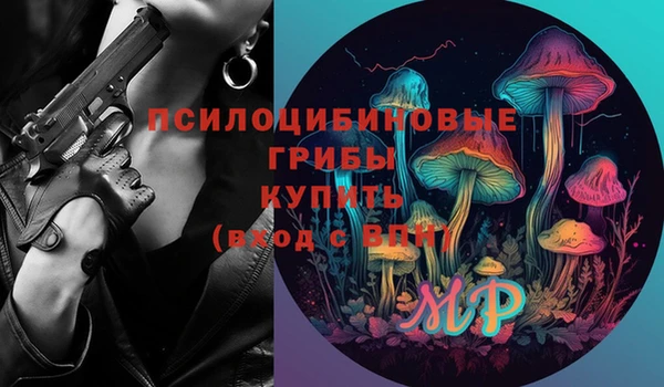 дмт Россошь