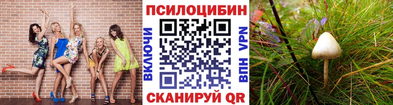 цены наркотик  Ступино  MEGA вход  Галлюциногенные грибы Psilocybe 